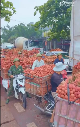 简单图床 - easyimage