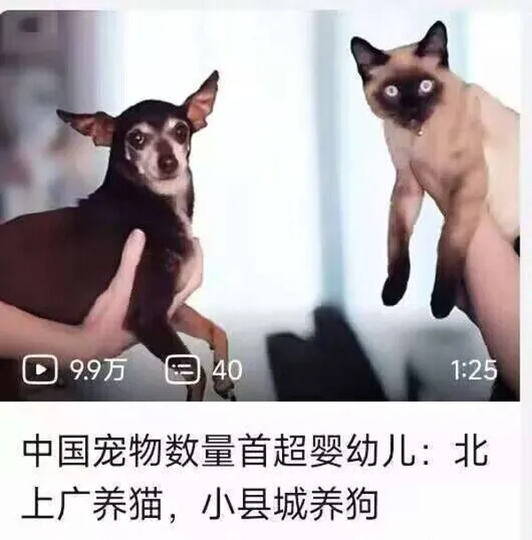 简单图床 - easyimage