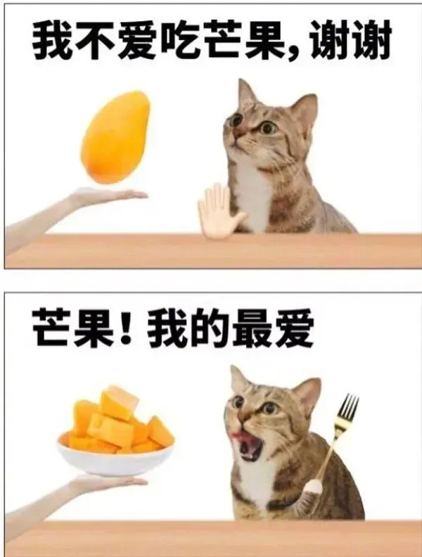 简单图床 - easyimage