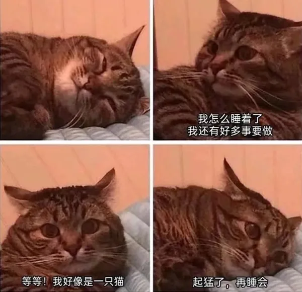 简单图床 - easyimage